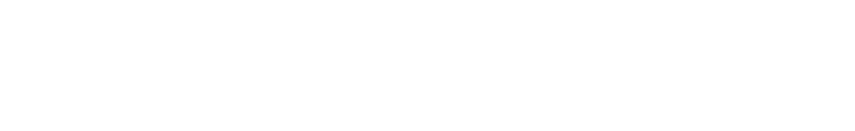 AmbiView Logo White